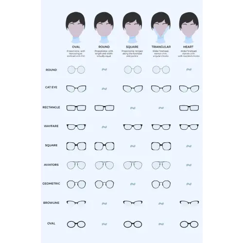 Cat-Eye Acetate Frame Sunglasses